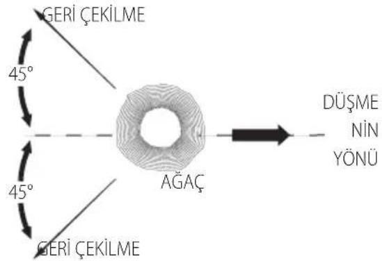 DEWALT DCMCS575 - Ağaç devirme - 1