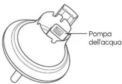Smartmi Rainforest - Pulire la pompa dell'acqua - 2