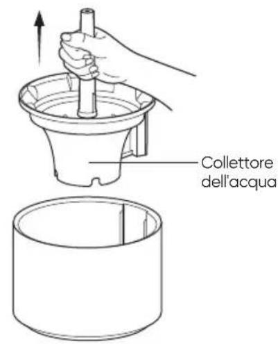 Smartmi Rainforest - Pulire la pompa dell'acqua - 1