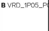 DELL PowerEdge T360 - Voyants LED de diagnostic de la carte système - 202