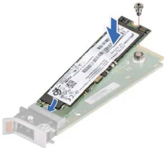 DELL PowerEdge T360 - Étapes - 2