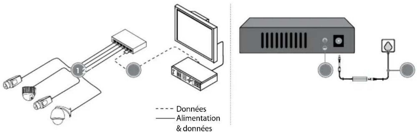 Intellinet 561686 - Connexions - 1