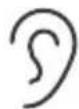 JBL Soundgear Frames - HOW TO WEAR - 2