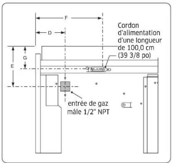 Cordon d'alimentation d'une longueur de 100,0 cm (39 3/8 po) entrée de gaz mâle 1/2" NPT