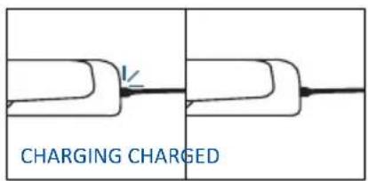 HAIER H6 ID46G3YTB - Before the use verify the charge of the Preci Probe: - 3