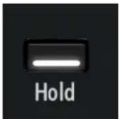 Arturia MiniBrute V - Bouton Hold - 1