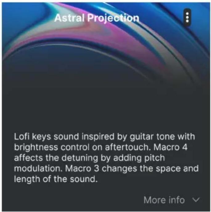 Arturia MiniBrute V - Partie Preset Info - 1
