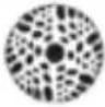 Chauvet Intimidator Spot Duo 155 - Slave unit: - 31