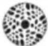Chauvet Intimidator Spot Duo 155 - Slave unit: - 23