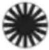 Chauvet Intimidator Spot Duo 155 - Unità slave: - 36