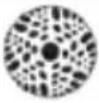 Chauvet Intimidator Spot Duo 155 - Unità slave: - 3