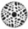 Chauvet Intimidator Spot Duo 155 - Slave-Gerät: - 3