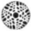 Chauvet Intimidator Spot Duo 155 - Slave unit: - 3