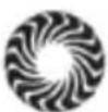 Chauvet Intimidator Spot Duo 155 - Slave unit: - 9