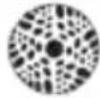 Chauvet Intimidator Spot Duo 155 - Unidad Esclavo: - 28