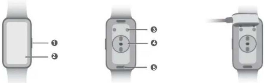 HUAWEI Band 9 - Chargement - 1