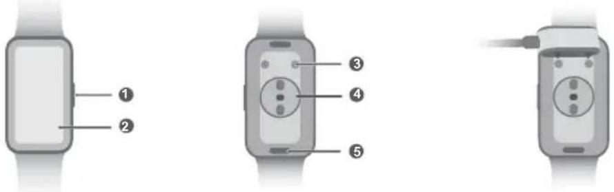 HUAWEI Band 9 - Carga - 1