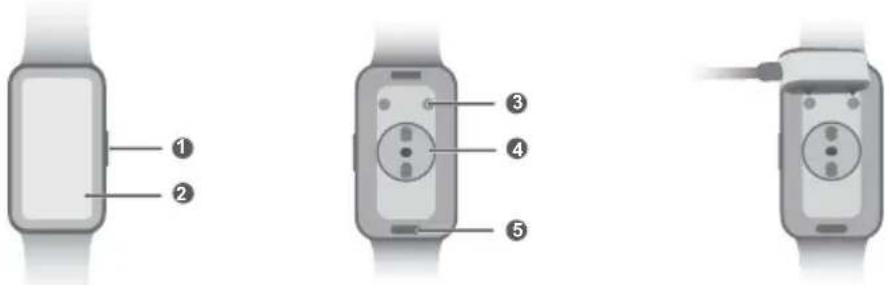 HUAWEI Band 9 - Aufladen - 1