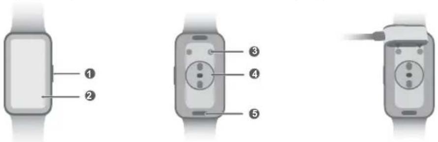 HUAWEI Band 9 - Şarj etme - 1