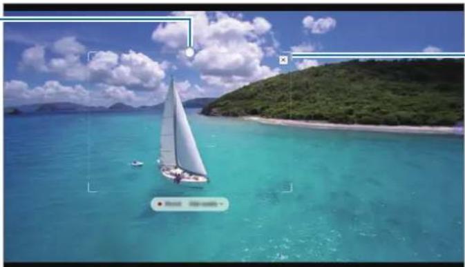 SAMSUNG Galaxy S Pen - Acquisizione di un'area da un video - 1