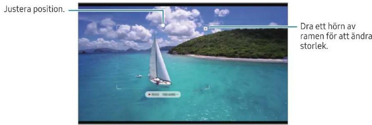 SAMSUNG Galaxy S Pen - Spela in ett område frän en video - 1