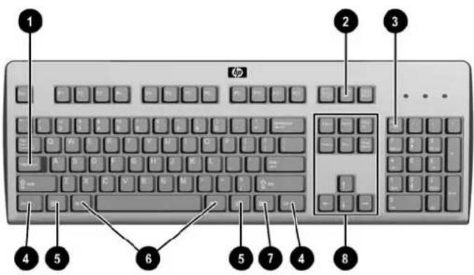 HP t5565 - Utilisation du clavier - 1