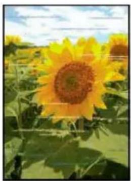 CANON Pixma G3571 - Important - 4