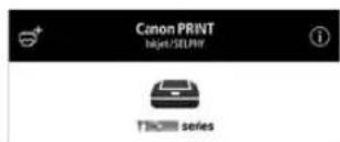 CANON Pixma TS9540 - Verifique se a tela a seguir aparece. - 1