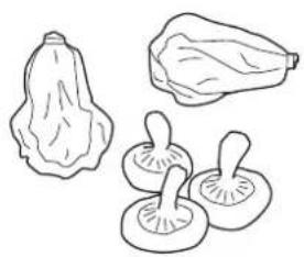 SCHNEIDER SCRLEA1122 - Conseils pour la conservation des aliments - 1