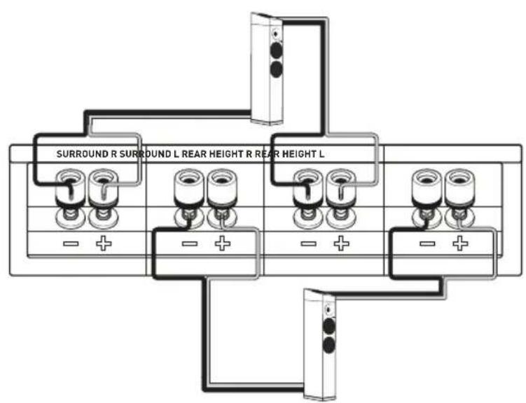 SURROUND R SURROUND L REAR HEIGHT R REAR HEIGHT L