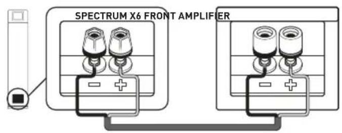 SPECTRUM X6 FRONT AMPLIFIER