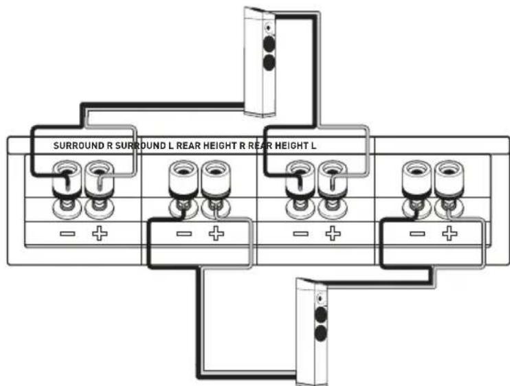 TANGENT Spectrum XATM - CONNECTIONS FOR REAR SPECTRUM XATM AND X6 - 3