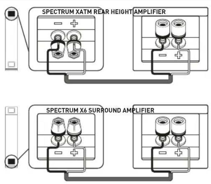 SPECTRUM XATM REAR HEIGHT AMPLIFIER SPECTRUM X6 SURROUND AMPLIFIER