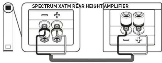 TANGENT Spectrum XATM - CONNECTIONS FOR REAR SPECTRUM XATM AND X6 - 1