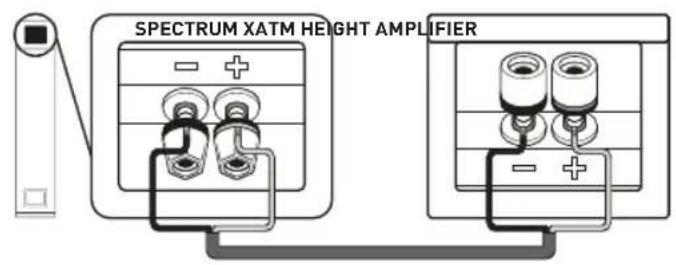 TANGENT Spectrum XATM - CONNECTIONS FOR FRONT SPECTRUM XATM AND X6 - 1