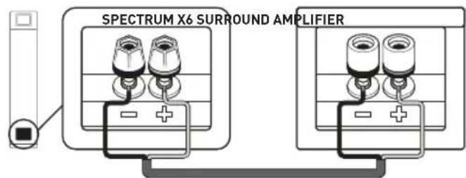 TANGENT Spectrum XATM - CONNECTIONS FOR REAR SPECTRUM XATM AND X6 - 2