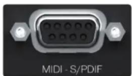 PRESONUS Quantum HD 2 - Connecteur DB-9: - 1