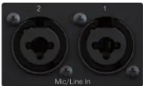 PRESONUS Quantum 4 - Face arrière - 5