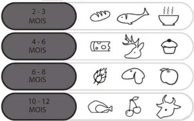 2 - 3 MOIS 4 - 6 MOIS 6 - 8 MOIS 10 - 12 MOIS