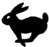 TORO 38073 - Signification des pictogrammes - 31