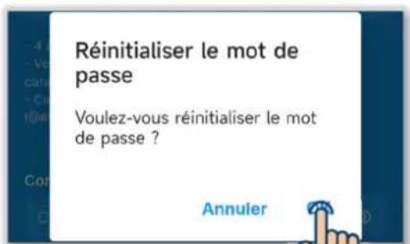 MITSUBISHI RC-ES1 - Réinitialisation du mot de passe - 2