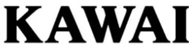 KAWAI CA501 - Déclaration de conformité de l'UE - 1