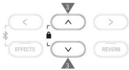 KAWAI CA501 - Importer - 7