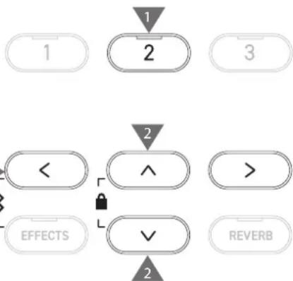 KAWAI CA501 - Écran Modifier l'enregistreur USB - 1