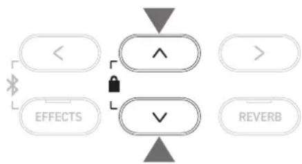 KAWAI CA501 - Lire le morceau depuis n'importequel point de départ - 2