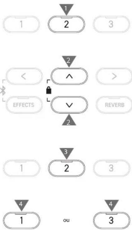 KAWAI CA501 - Importer - 6