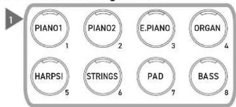KAWAI CA501 - Section droite Section gauche - 1