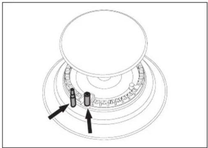 SMEG CO60GMA - Bougies et thermocouples - 1