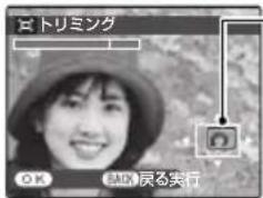 FUJIFILM FinePix AV140 - 画像の一部を切り抜く(☐ トリミング) - 3