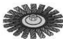 DEWALT DCB127 - Wire Wheels - 4